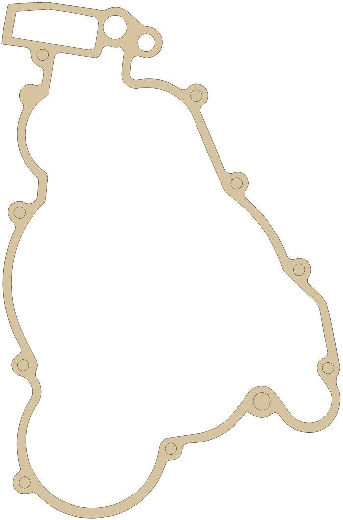 TM 250cc 1 gasket outline