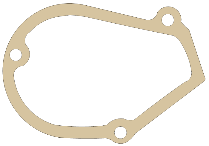 Gas Gas 300cc RT. P.V gasket outline