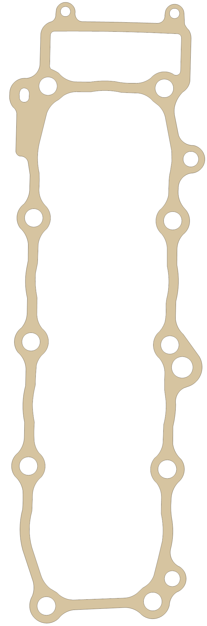 Yamaha YFZ R1 Cylinder gasket outline