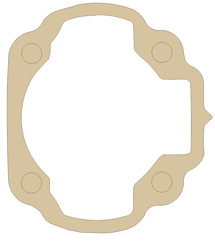 Polaris Cylinder gasket outline, OEM 0450009, A material