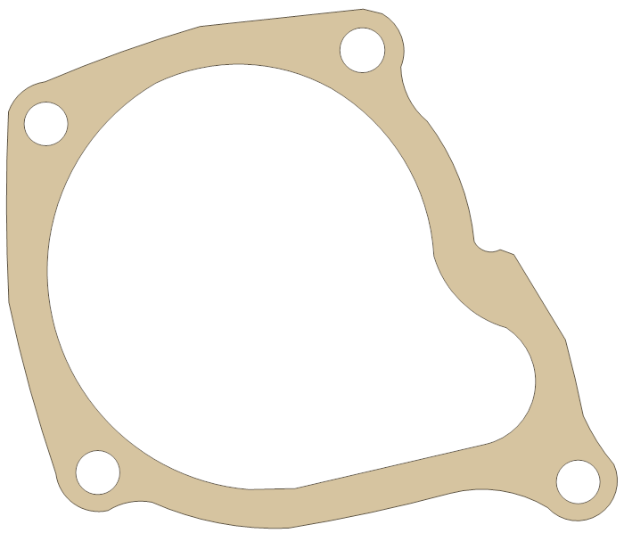 Polaris Xplorer 500 Water Pump gasket outline