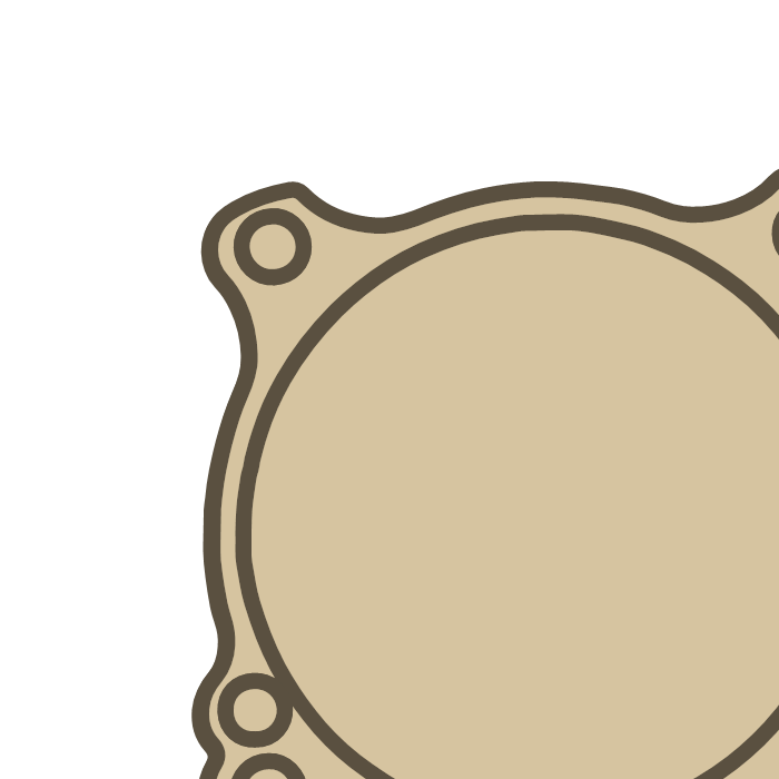 Yamaha WZF WR 450 Cylinder gasket outline