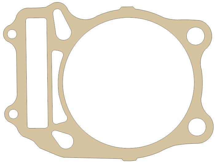 Suzuki DR350SE Cylinder gasket outline