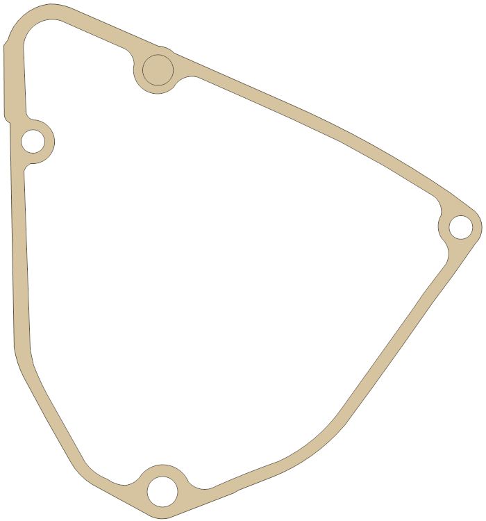 Suzuki RMZ250 Generator gasket outline