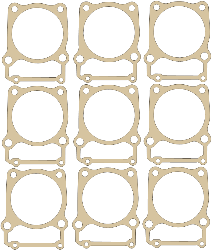 Kawasaki KLX300 Big Bore SET gasket outline