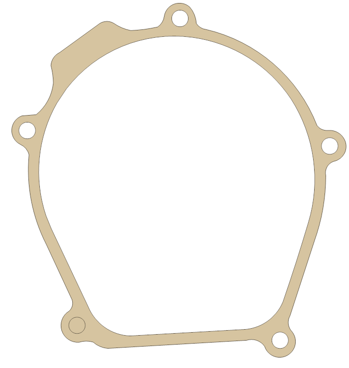 Kawasaki KX250 Generator gasket outline