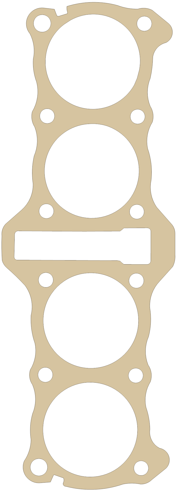 Kawasaki ZX1100 Cylinder Base gasket outline