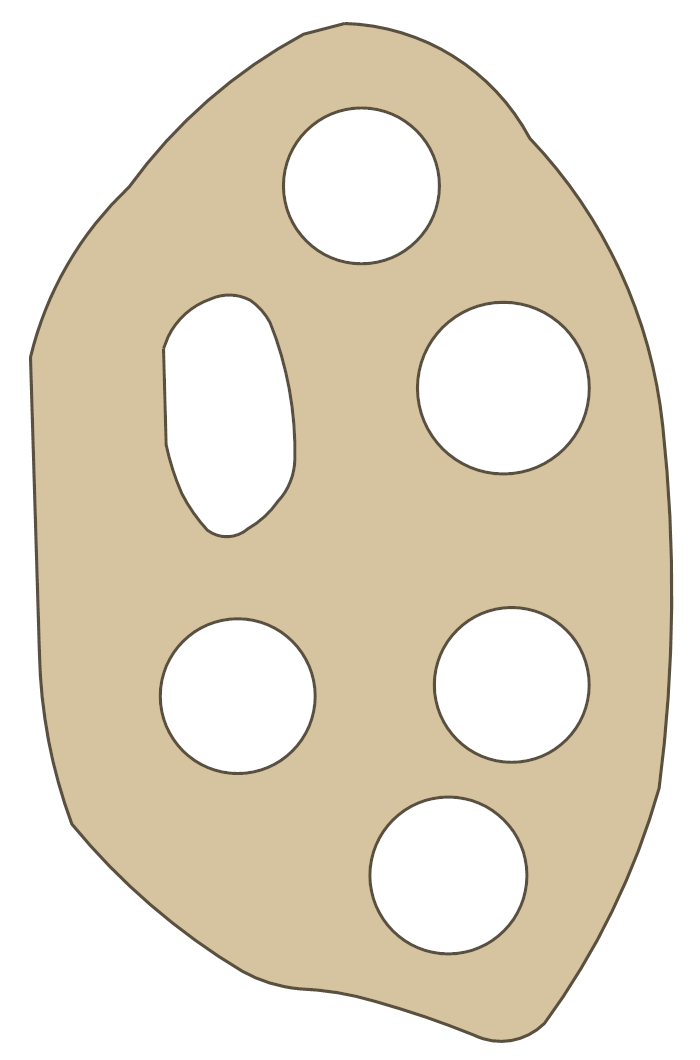 Triumph 650 11 gasket outline
