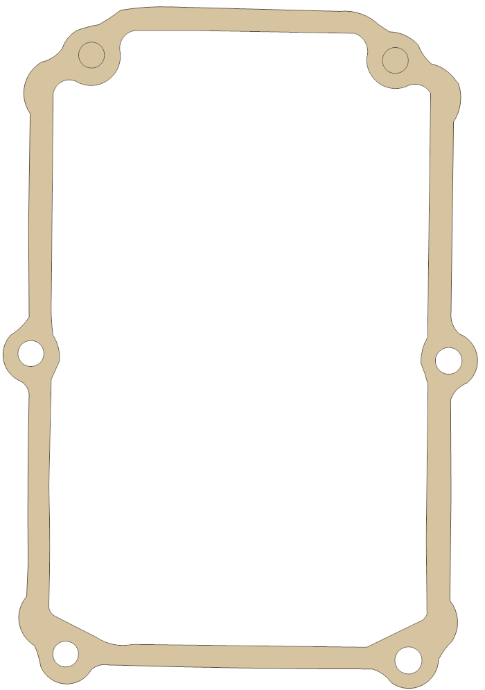 Kawasaki JS300 Electric Case gasket outline